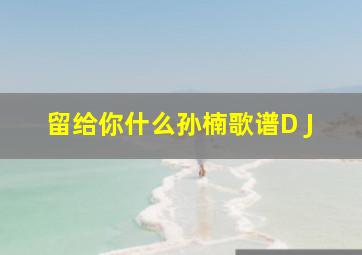 留给你什么孙楠歌谱D J